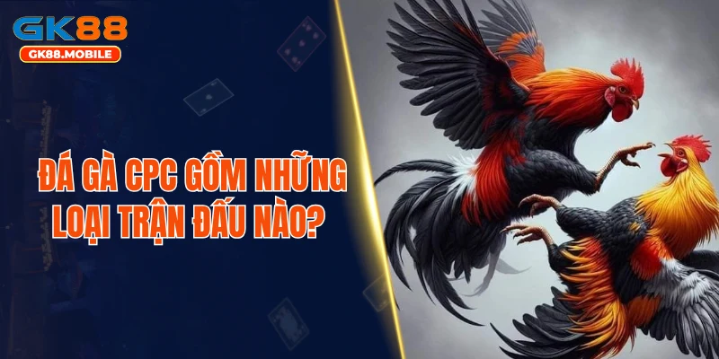 Đá gà CPC gồm những loại trận đấu nào?