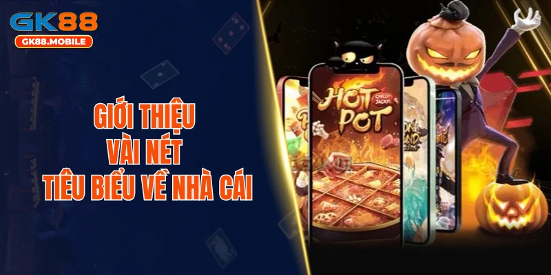 Giới thiệu vài nét tiêu biểu về nhà cái