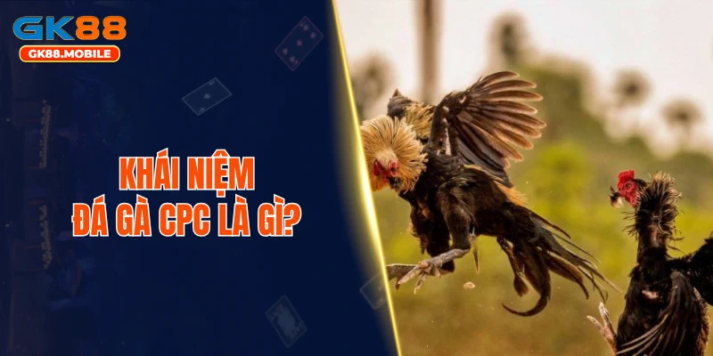 Khái niệm đá gà CPC là gì?